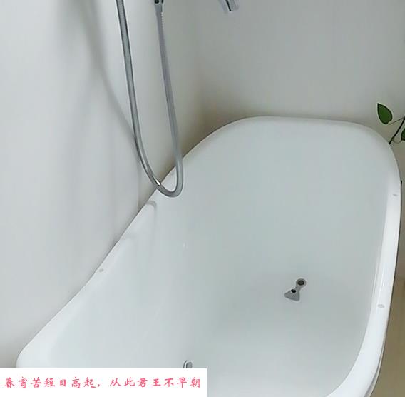小豆芽的服务 第4张