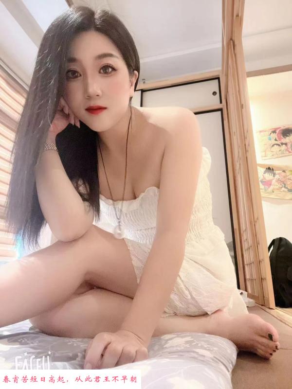 D罩的夜喵 第2张