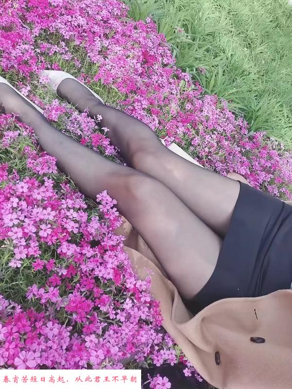 东区性感小少妇 第2张