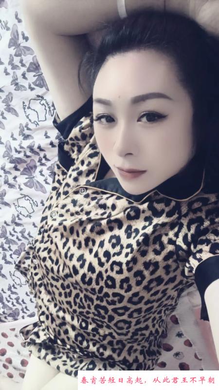 河西东北少妇 第2张