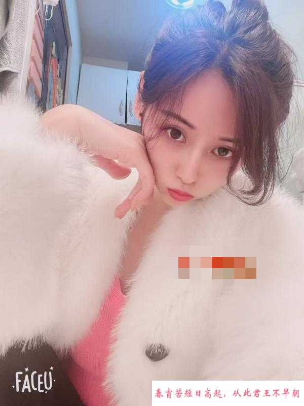 体验新人飞飞 第2张