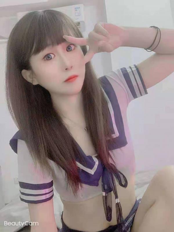 未央区小可爱猫猫 第1张